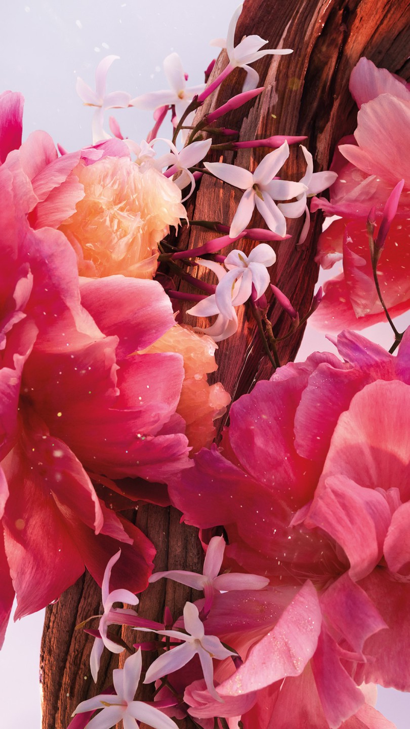 Miss Dior - missdior-04-mobile