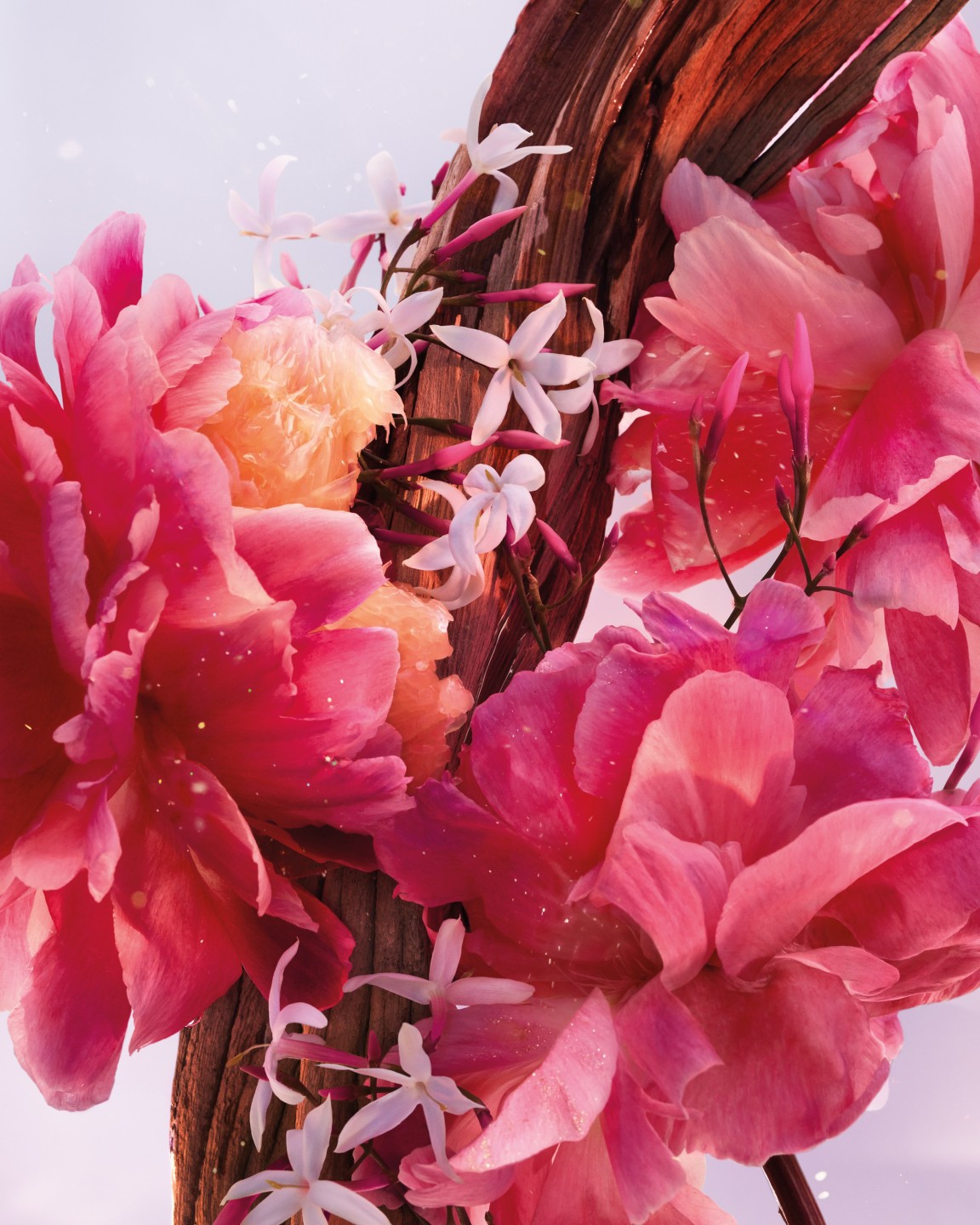 Miss Dior - missdior_04