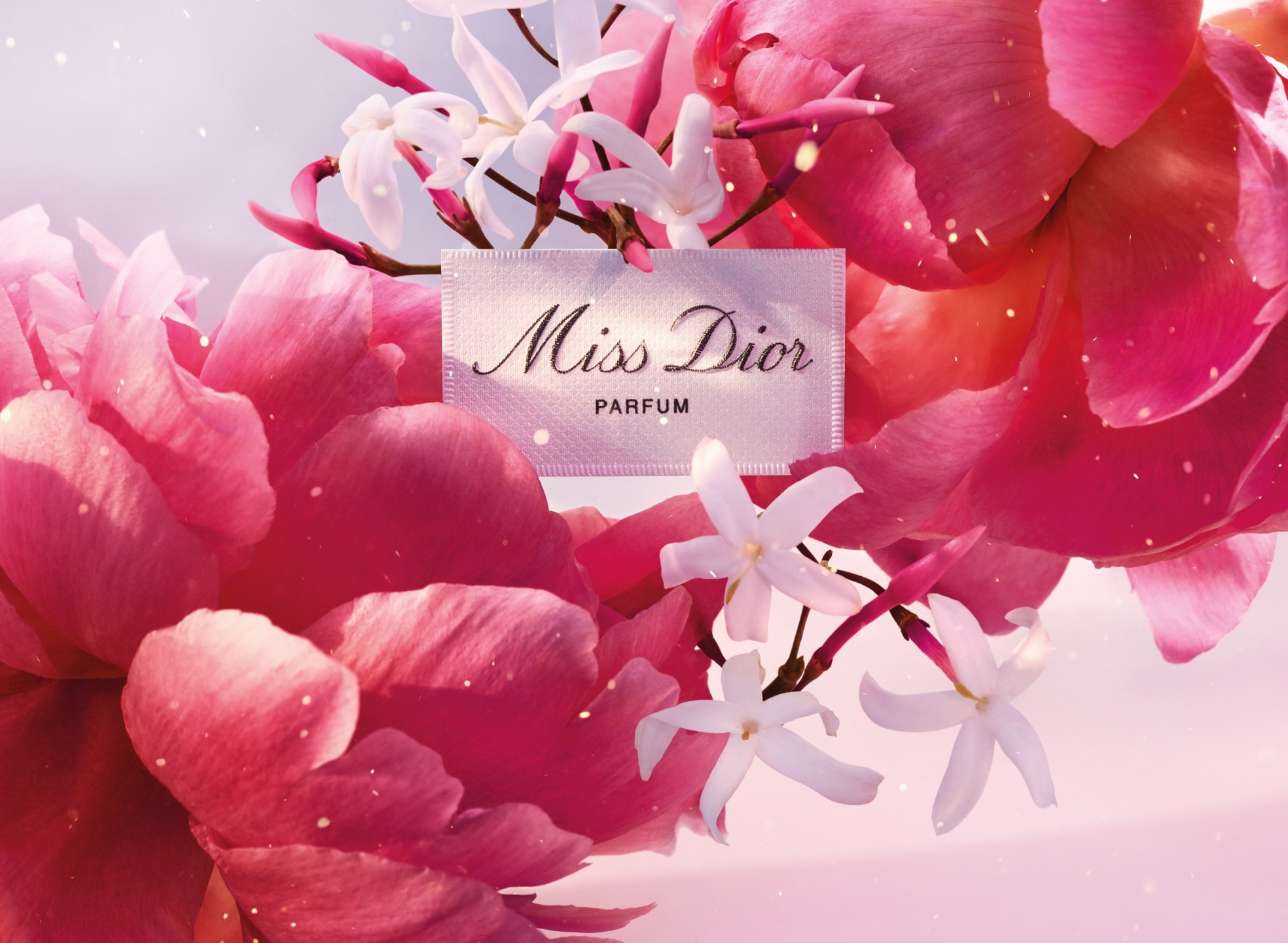 Miss Dior - missdior_01_degrade